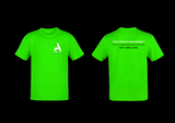 Alsei LLC TEE